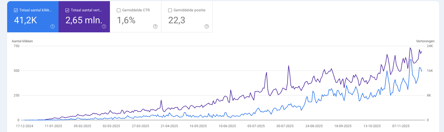 Google Search Console van ons eigen schoonmaakproject